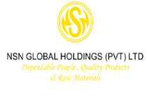 NSN Global Holdings (Pvt) Ltd. logo