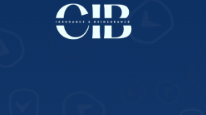 Ceylan Insurance & Reinsurance Brokers Company (Pvt) Ltd. logo